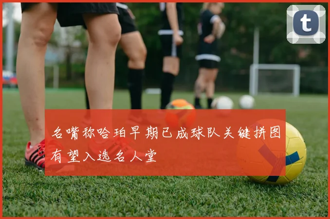 名嘴称哈珀早期已成球队关键拼图有望入选名人堂