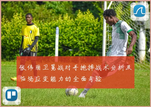 张伟丽卫冕战对手抱摔战术分析及临场应变能力的全面考验